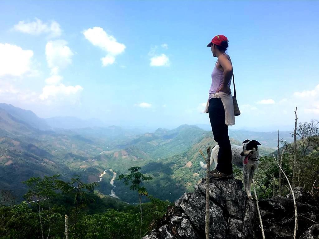 Mountain Nest Bed & Breakfast ลังกิน ภายนอก รูปภาพ